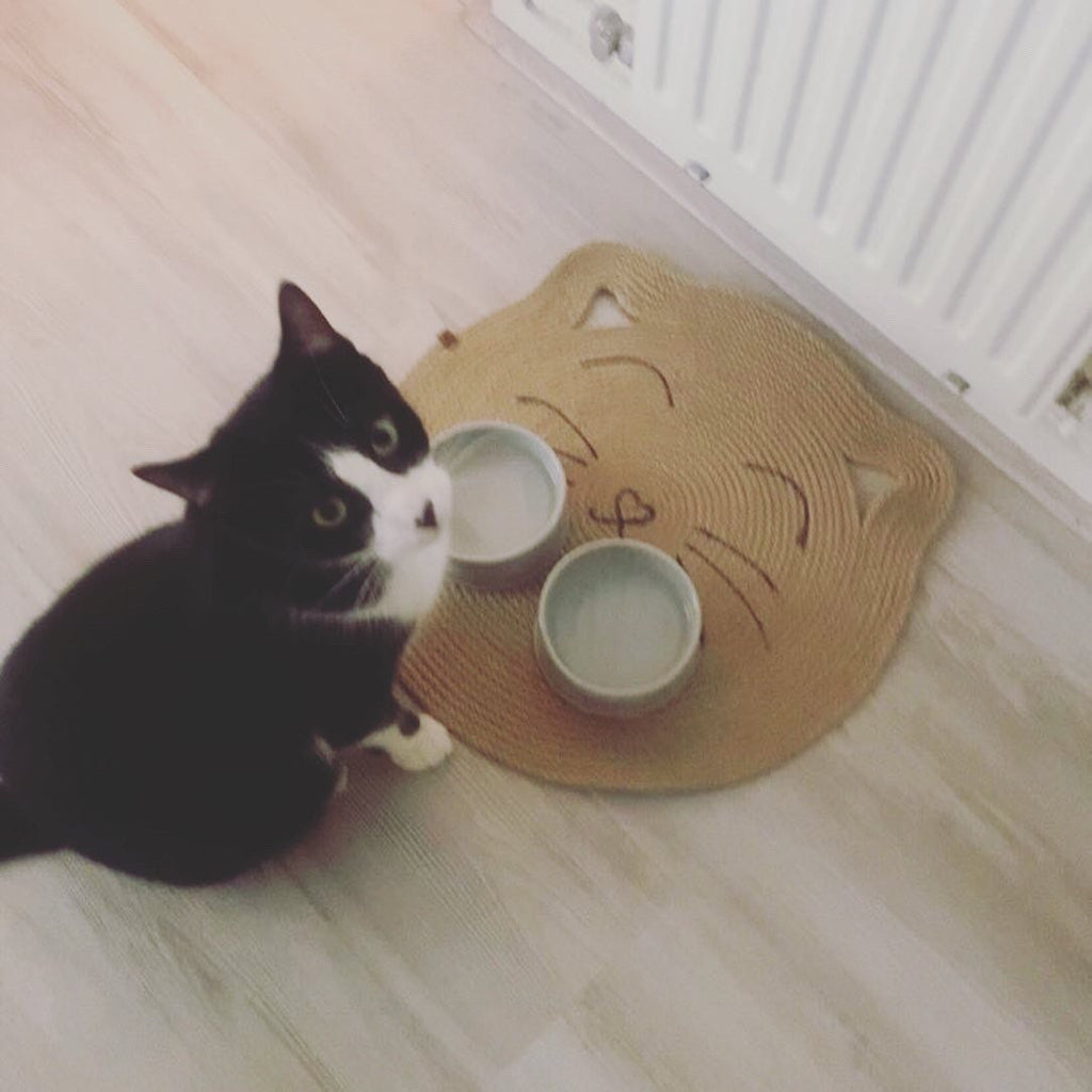 Cat Scratcher; Handmade Jute Cat Place Mat; Cat Scratching Mat; Environmental Friendly Cat Food Bowl Mat; Pet Basket; Cat Furniture