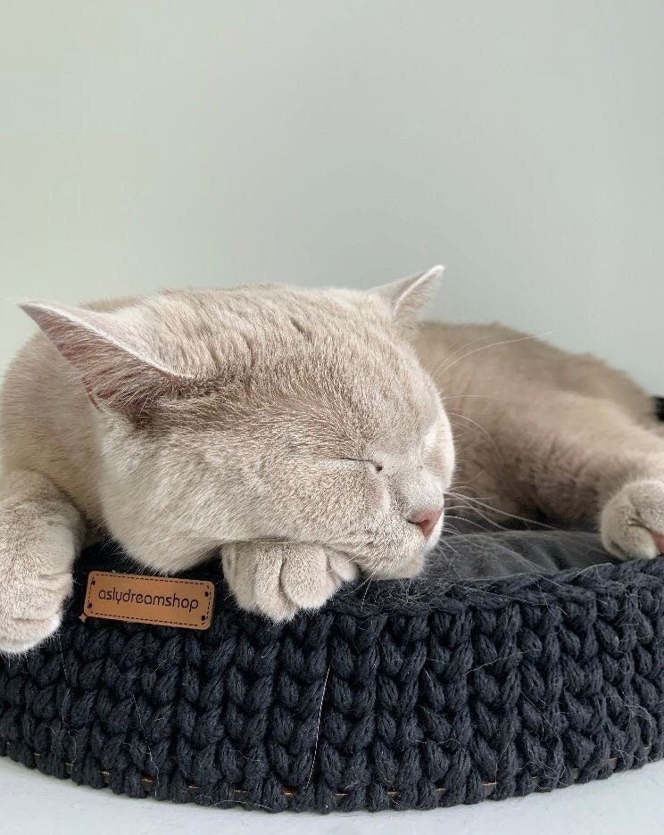 Cat and Dog Bed; Wood Base Cotton Side Cat Dog Basket; Pet basket; Handmade Environmental Friendly Cat & Dog Bed