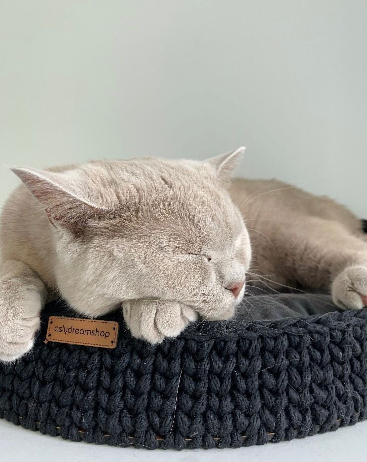 Cat and Dog Bed available in 45 Colours; Wood Base Cotton Side Cat Dog Basket; Pet basket; Handmade Environmental Friendly Cat & Dog Bed