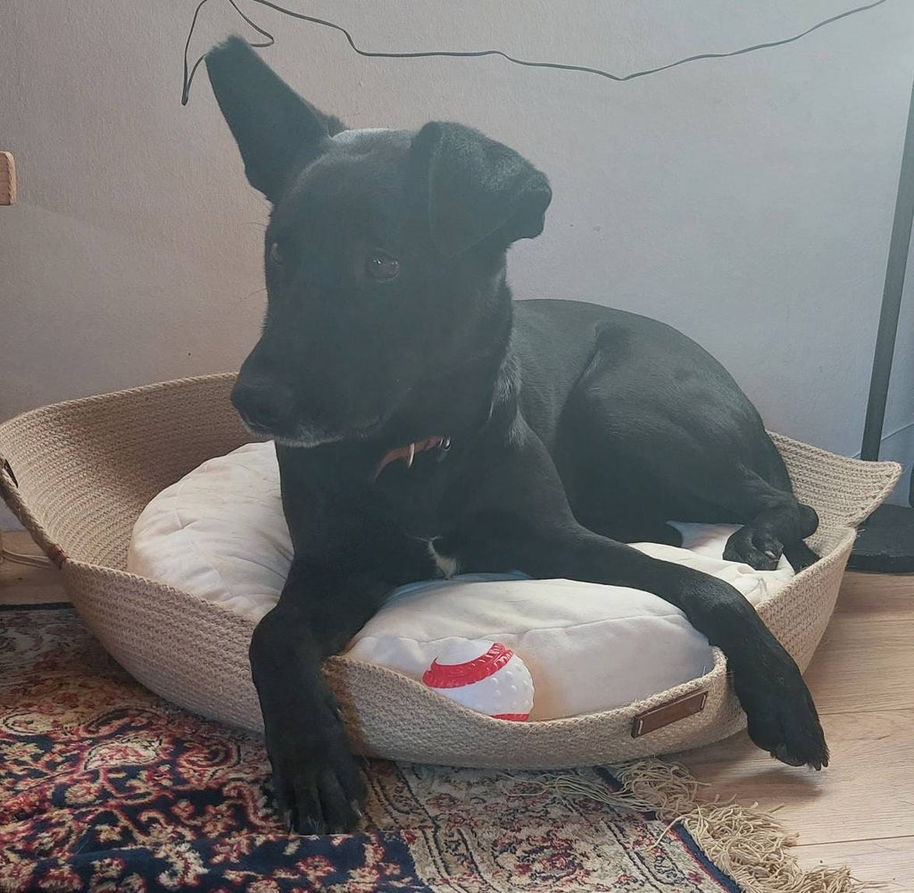 XL Dog Cat Bed (70 cm - 27.5 inches) Cat and Dog Bed; Cat Dog Basket; Pet basket; Environmental Friendly Handmade Jute Cat & Dog Bed